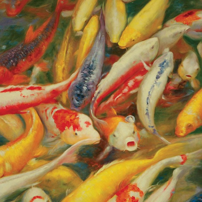 Koi