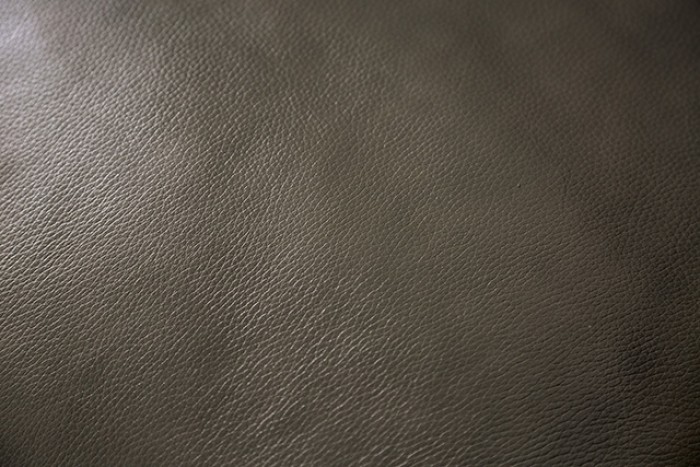 Phineas - Image 8