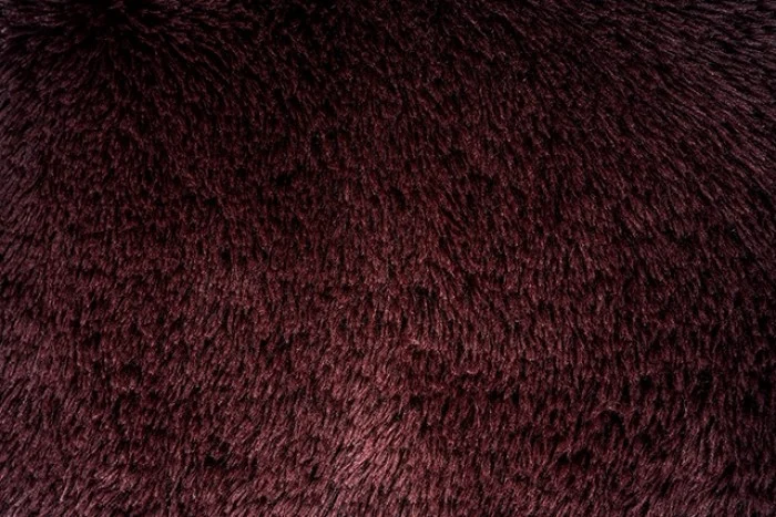 Vander - Image 3