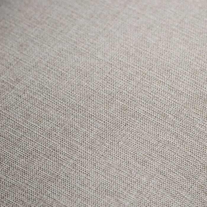 Picotee - Image 6