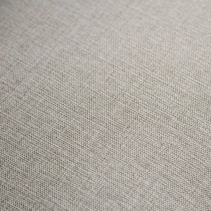 Picotee - Image 6