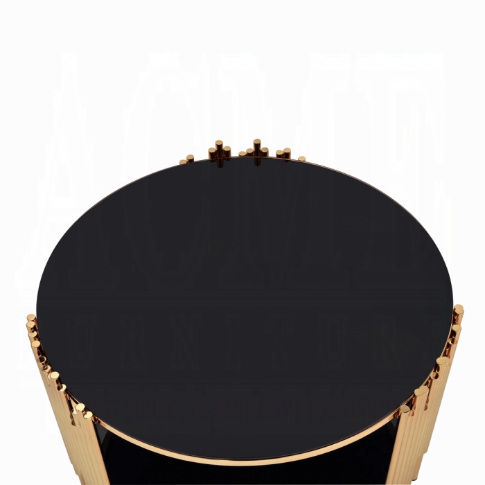 Tanquin Coffee Table - Image 4