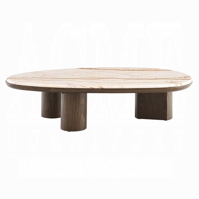 Haidar Coffee Table w/Natural Marble - Image 3
